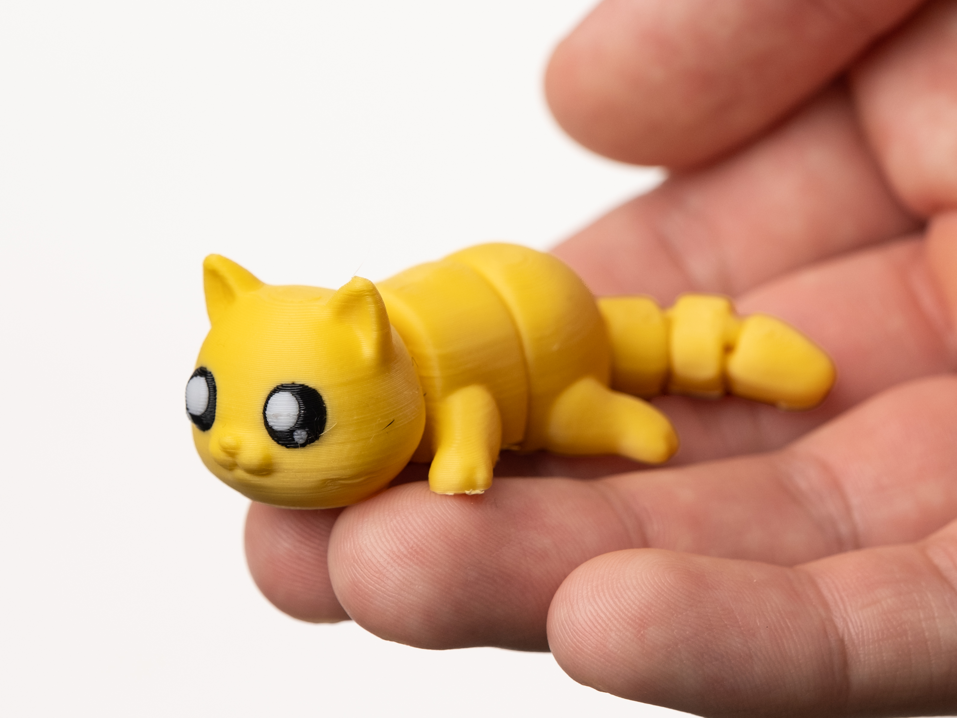 Flexi Cat - 1