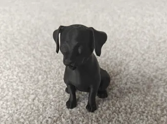 Puppy