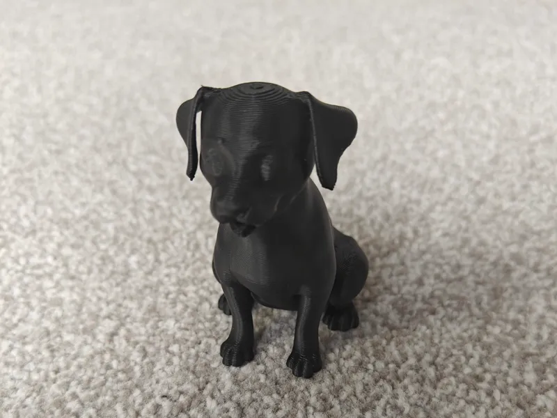 Puppy