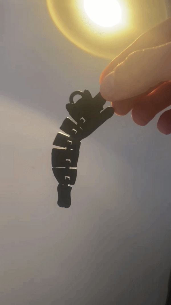 https://makerworld.bblmw.com/makerworld/model/US8ab3e82c9532a1/design/3d770953da414004.gif