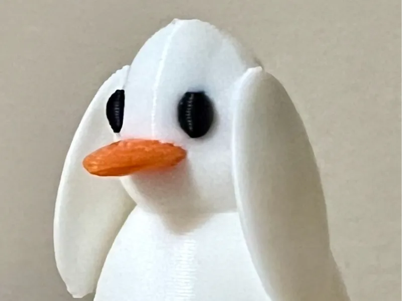 Shocked duck decor
