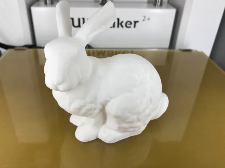 Rabbit