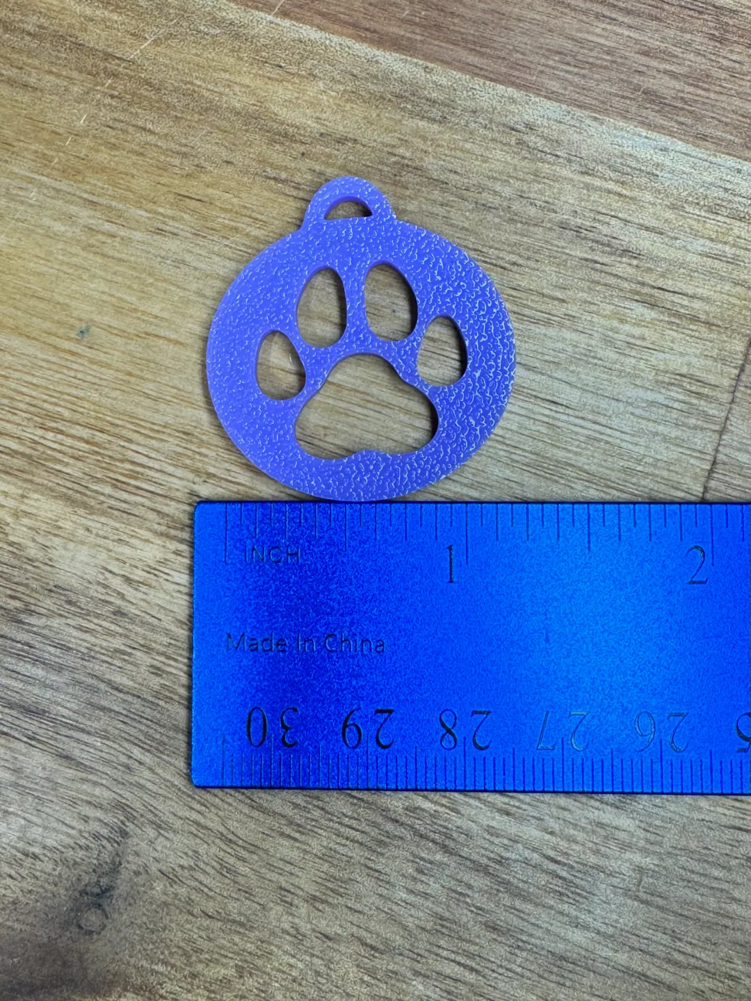 Circle with Paw Earring view 2