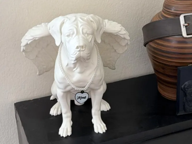 Cane Corso "Guardian Angel" – Memorial & Decor
