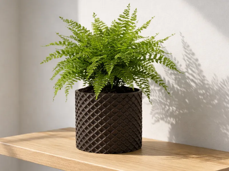 GeoForm Planter - Twistbase for Water