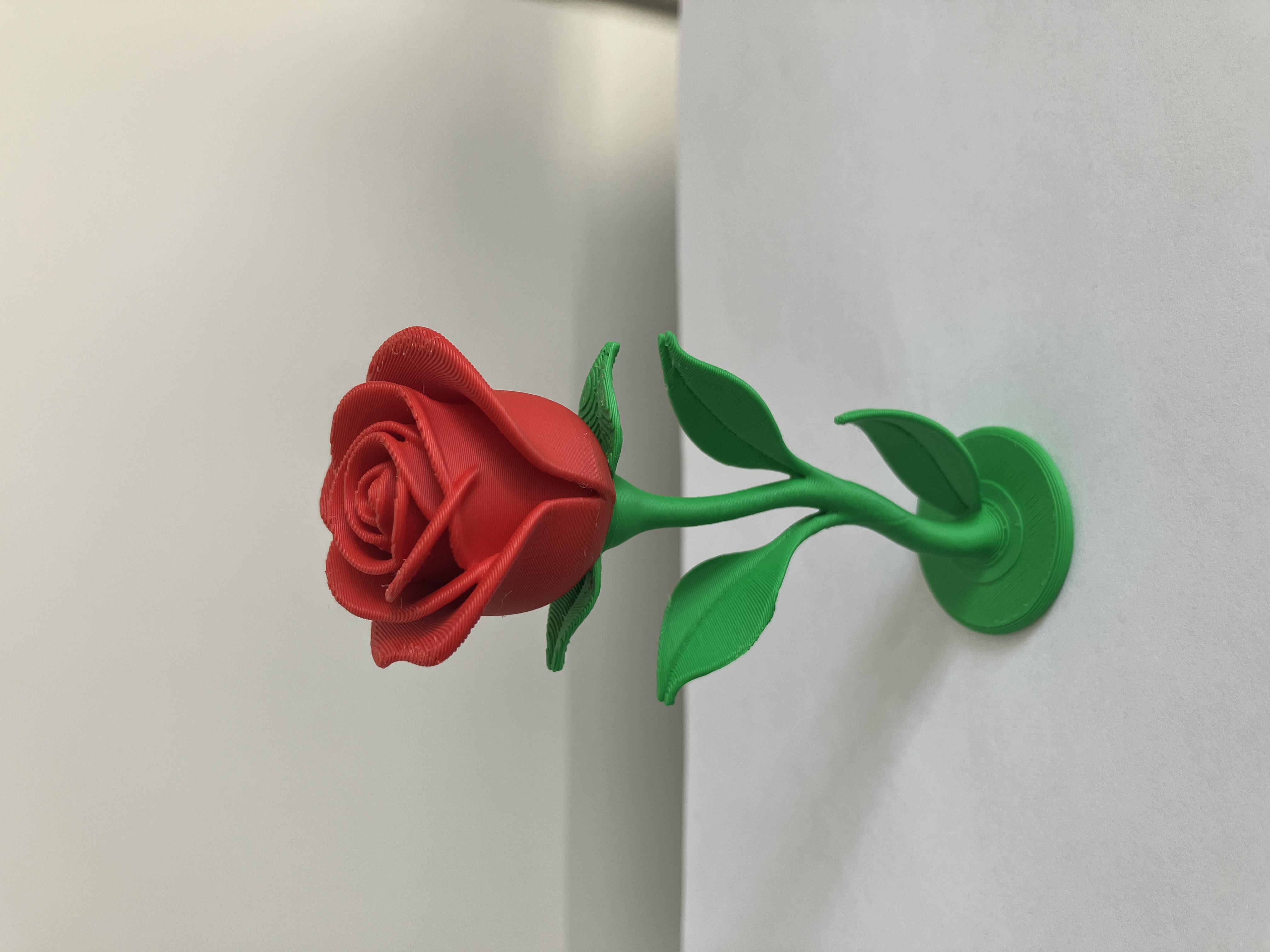 Miniatura 2 do modelo 3D Opulent Rose 华贵的玫瑰