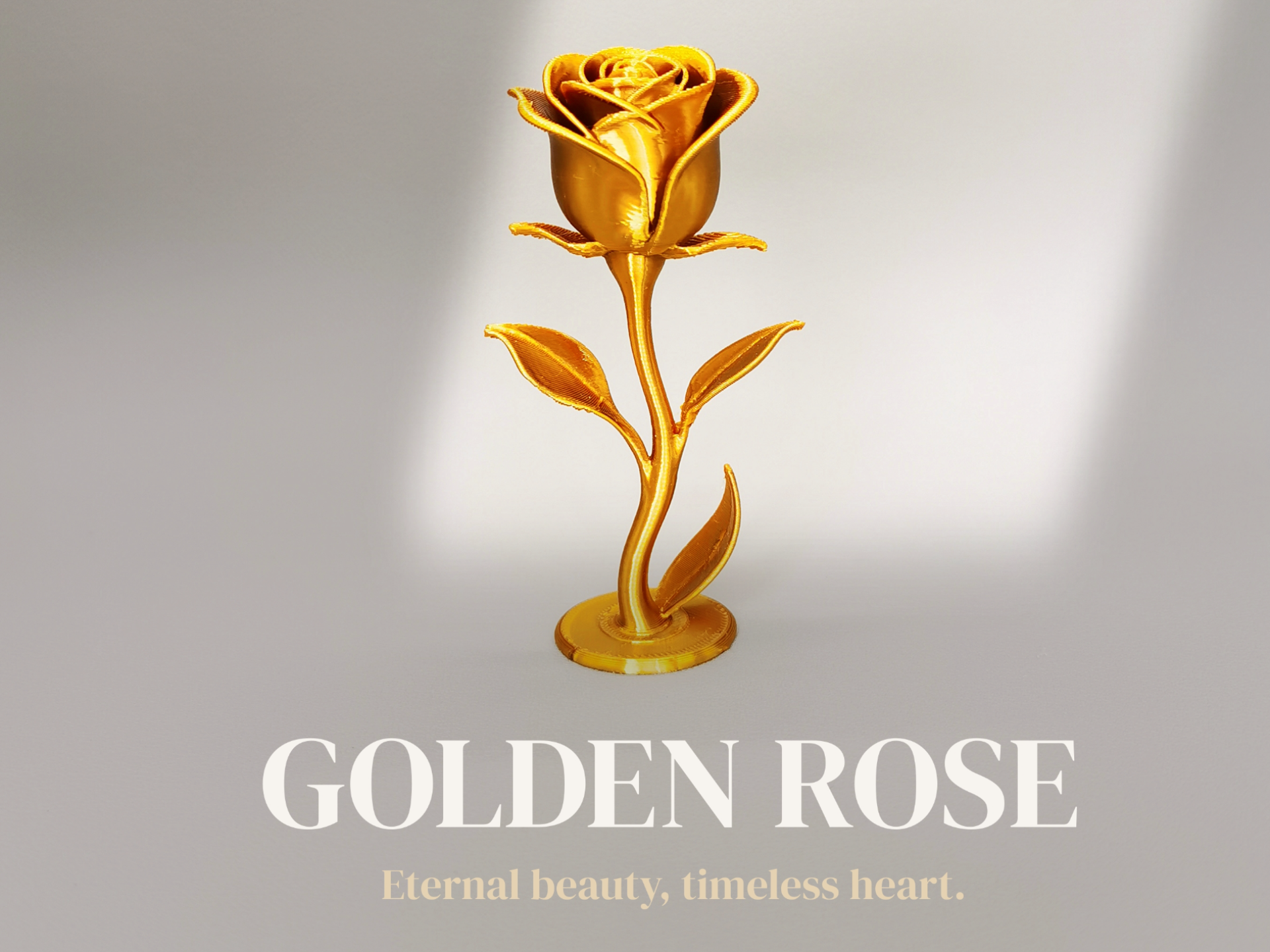 Opulent Rose 华贵的玫瑰