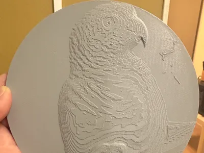 Sculpture pyrrhura