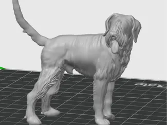 Schnauzer Gigante
