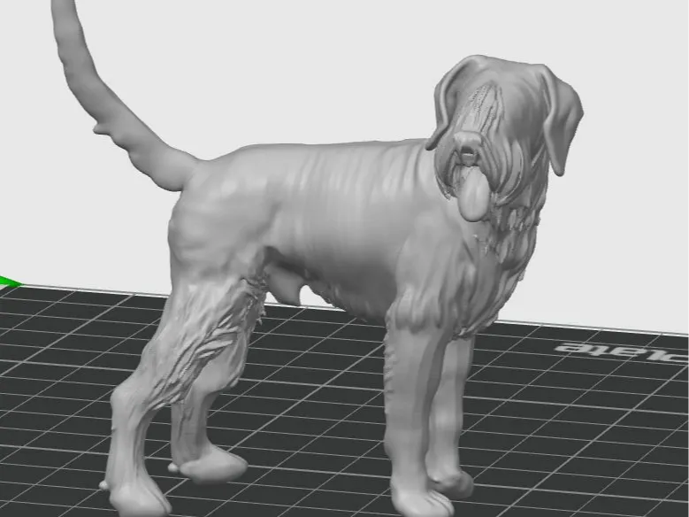 Schnauzer Gigante