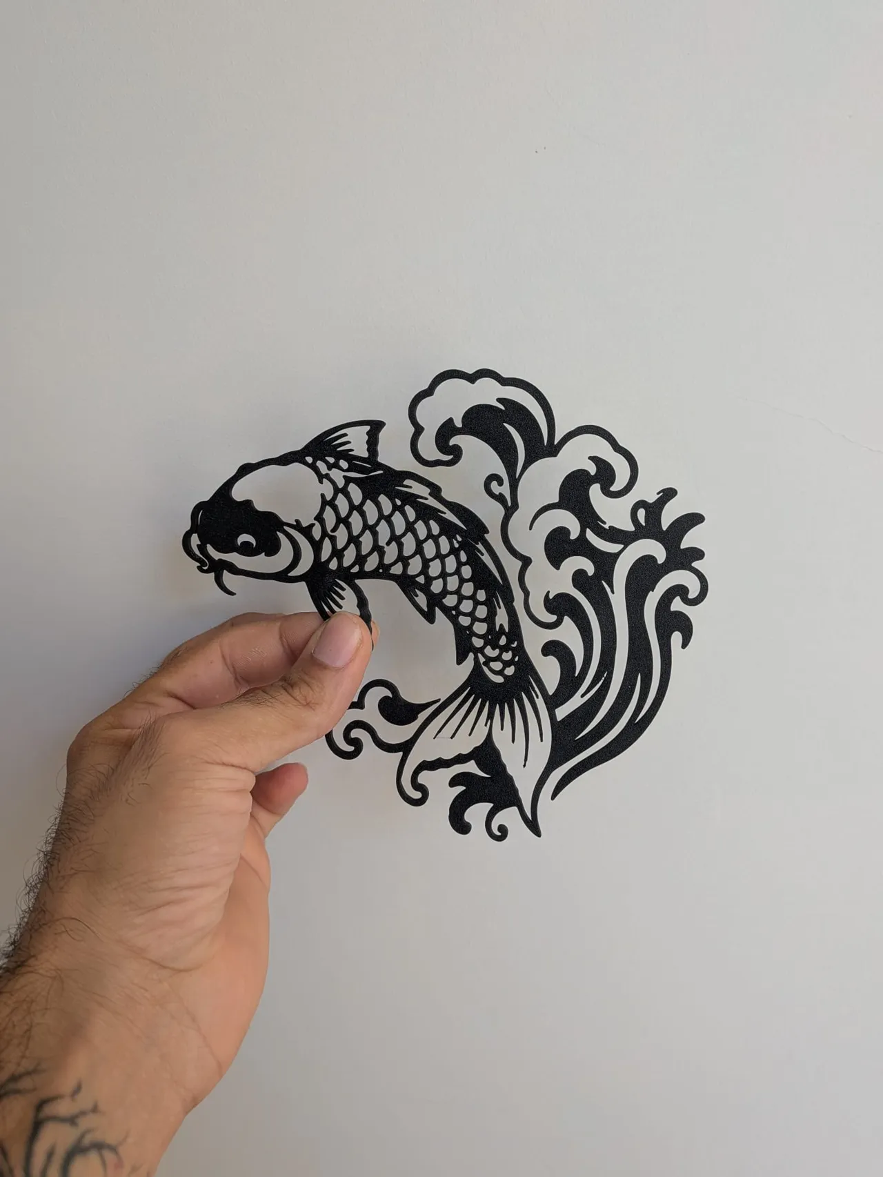 Japanese Koi view 4