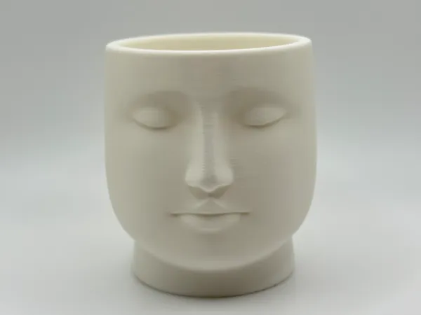 https://makerworld.bblmw.com/makerworld/model/US8ace3cf6263bd6/design/2025-04-25_97fe5b303862a8.jpeg
