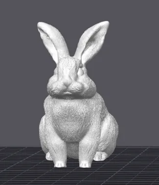 Bunny