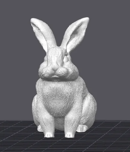 Bunny