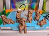 0.16mm layer, 2 walls, 10% infill