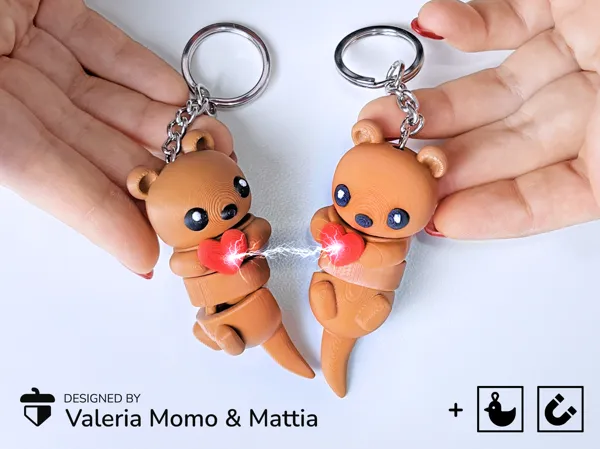 https://makerworld.bblmw.com/makerworld/model/US8ad2095a4d625e/design/2025-01-09_1936ca069650f.png