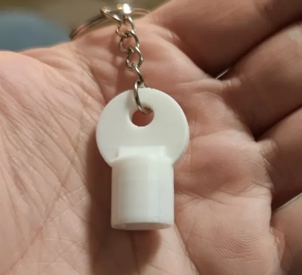 https://makerworld.bblmw.com/makerworld/model/US8ad22cb4c81c96/design/2024-03-03_2ab9db7c94711.jpeg