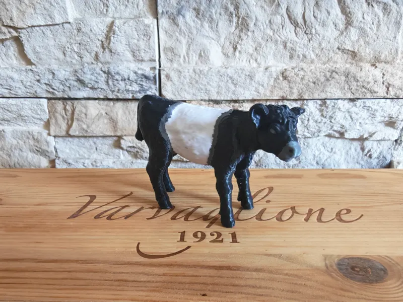 Realistic Belted Galloway Calf - Schleich Inspired