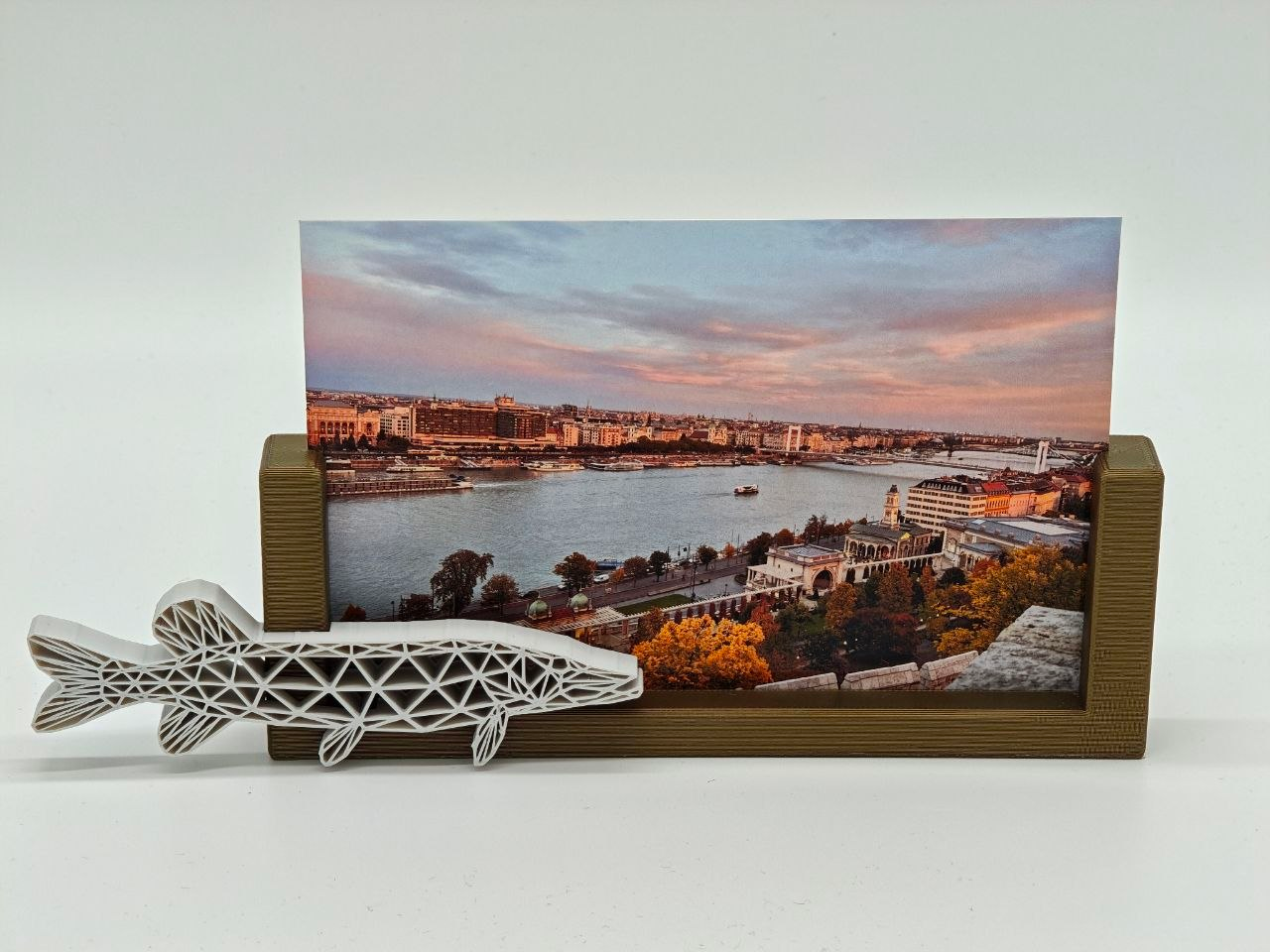 4X6´´ 10x15cm Foto Aufsteller Fische