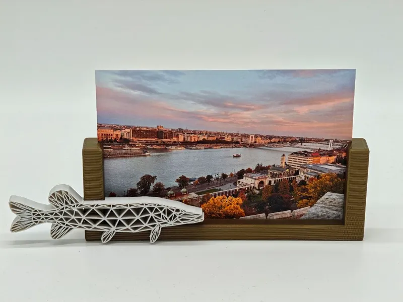 4X6´´ 10x15cm Foto Aufsteller Fische