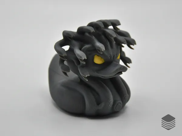 https://makerworld.bblmw.com/makerworld/model/US8adf3d7d2b6edb/design/2025-01-17_c8ee6156624f2.png
