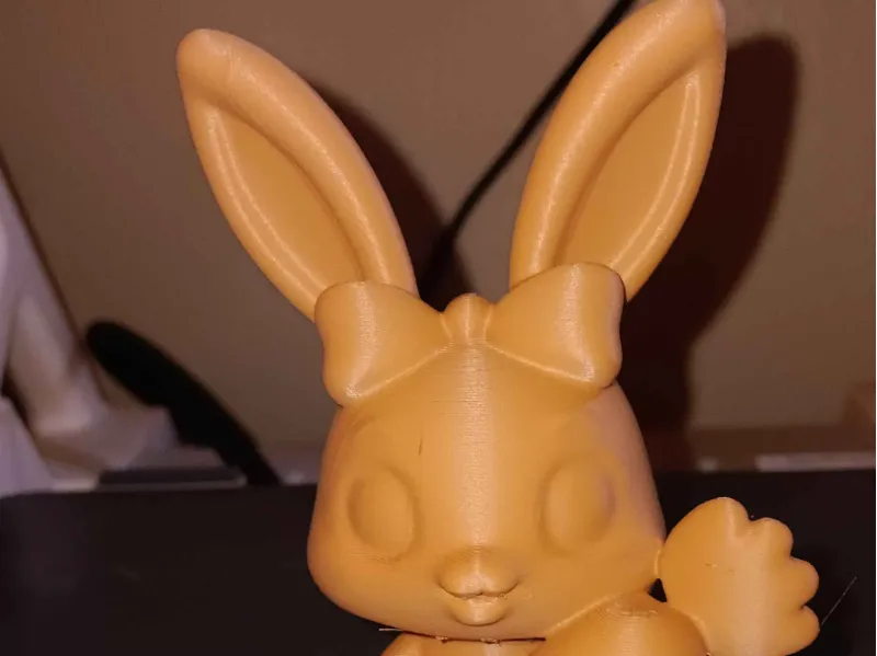 Q.T. the cute bunny