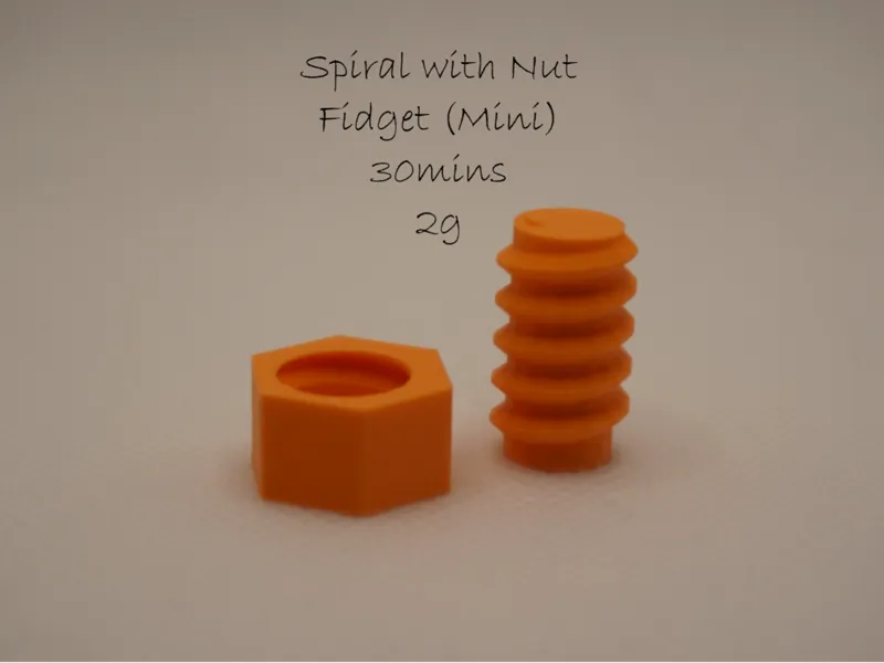 Spiral with Nut Fidget (Mini)