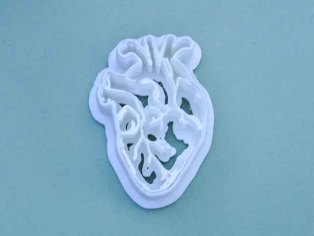 Anatomical Heart Clay Cutter Polymer Clay Earrings