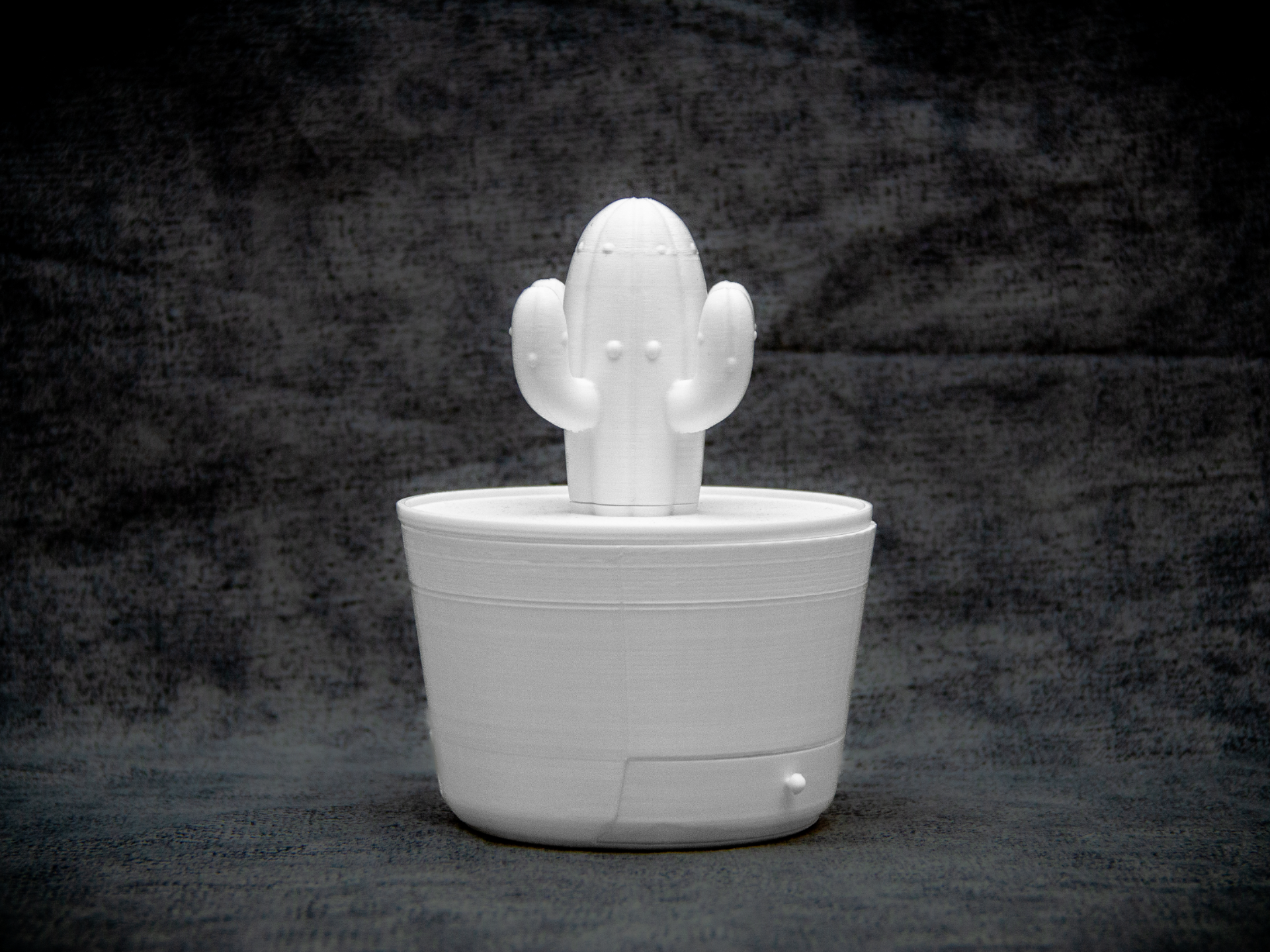 Telescopic Cactus Jewelry Organizer