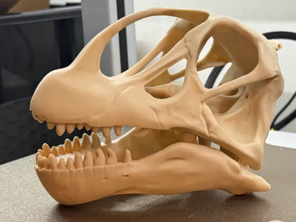 https://makerworld.bblmw.com/makerworld/model/US8af2207a9f96f7/design/fec5795e8960c495.jpg