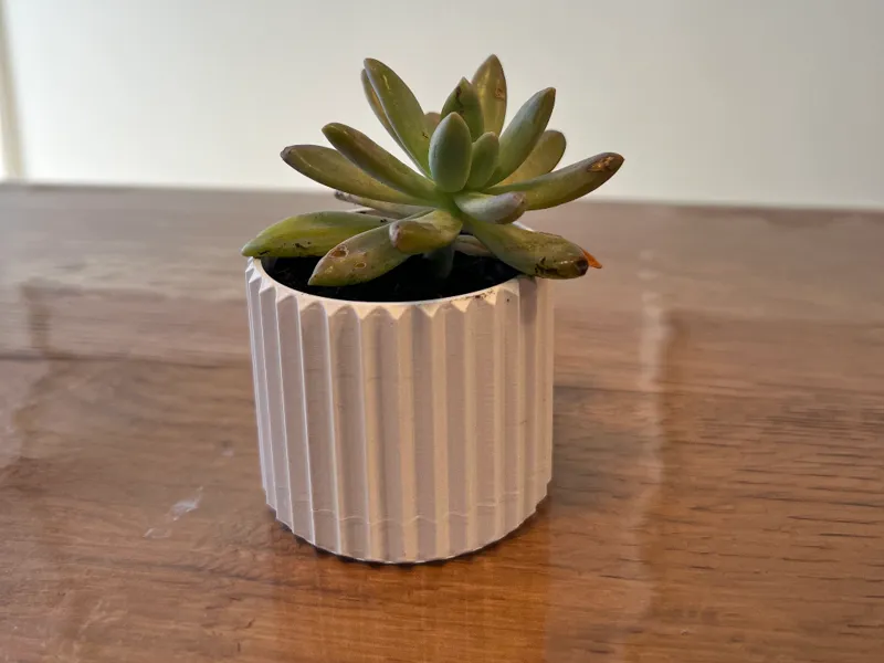 vertical line vase