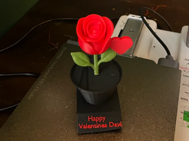 Valentine's Day Flower Pot