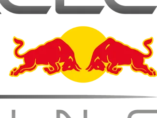 Redbull Oracle keychain