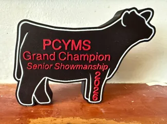 Livestock Award/Thank You Gift - Steer