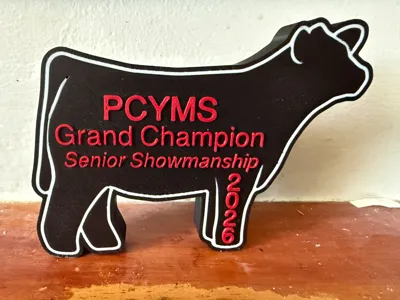Livestock Award/Thank You Gift - Steer
