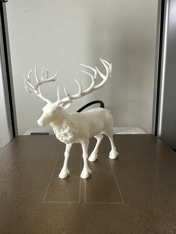 https://makerworld.bblmw.com/makerworld/model/US8afbb58d8a428d/design/2024-11-17_5dc4b15041f268.jpeg