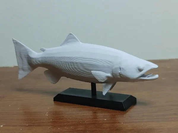 https://makerworld.bblmw.com/makerworld/model/US8afcee6f71e391/design/2024-11-09_6046cdee4b85a.jpg