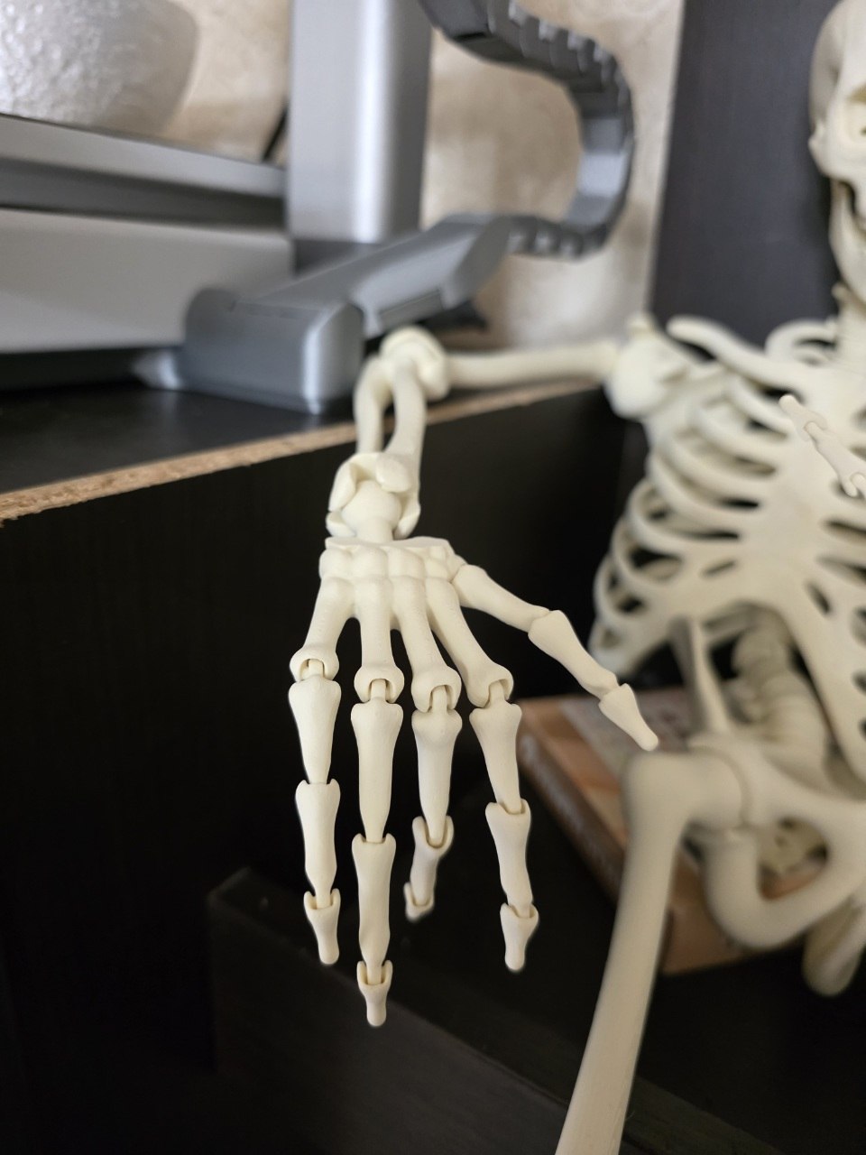 Miniatura 4 do modelo 3D Articulated Skeleton