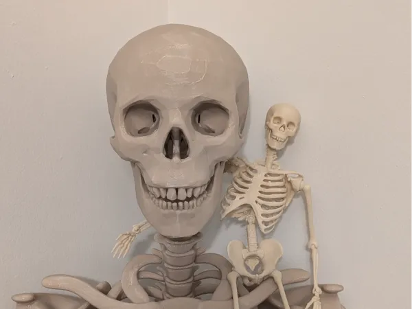 https://makerworld.bblmw.com/makerworld/model/US8b085fe6401757/design/2024-10-25_5925d4453c927.jpg
