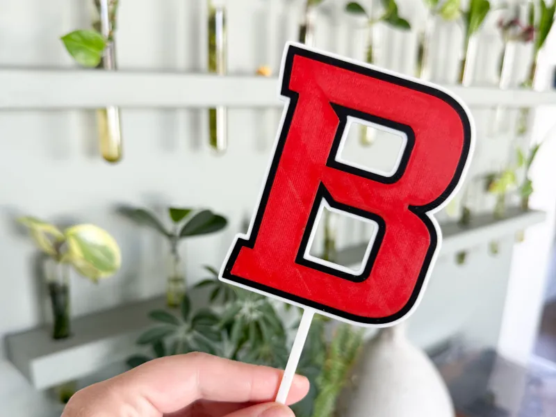 Bountiful B Topper | AMS + Single Color