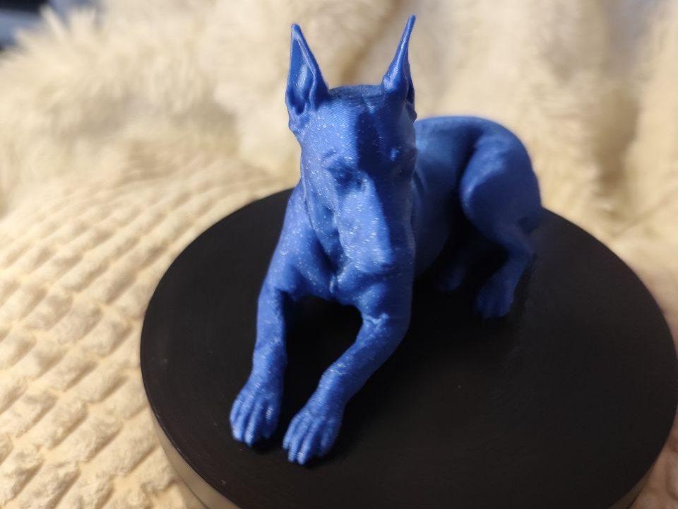 Dobbi der Dobermann 