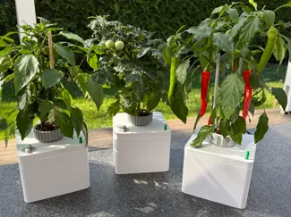 Hydroponic plant pot / Hydroponischer Blumentopf