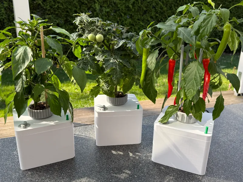 Hydroponic plant pot / Hydroponischer Blumentopf