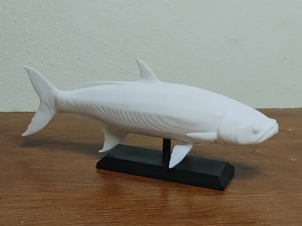 https://makerworld.bblmw.com/makerworld/model/US8b0f86d8fe4104/design/2024-12-18_15bc5cff160f4.jpg