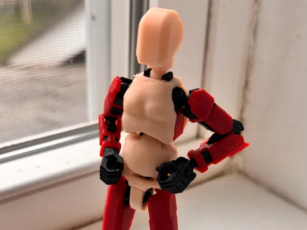 https://makerworld.bblmw.com/makerworld/model/US8b115a17ae564d/design/2025-06-17_27ab6af3129818.jpg