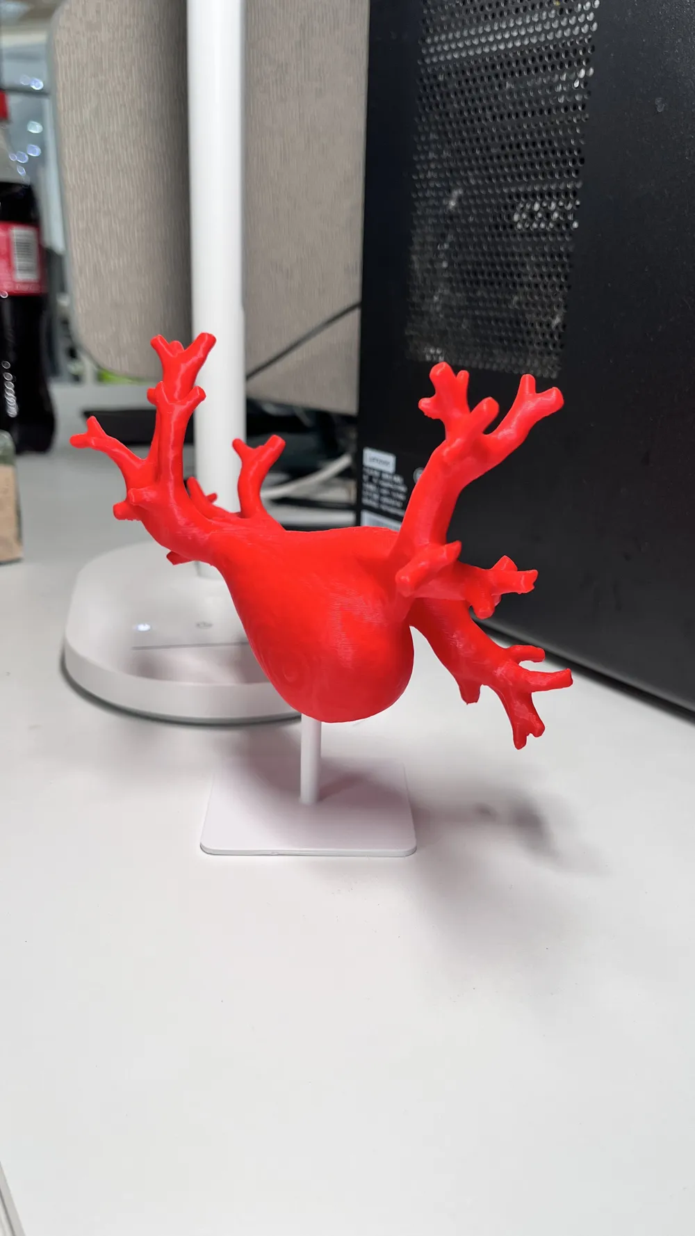 Pulmonary Vein Medical Anatomy Educational Model by Zoom MakerWorld ...