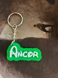 Ancor