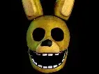spring bonnie t 13 head 