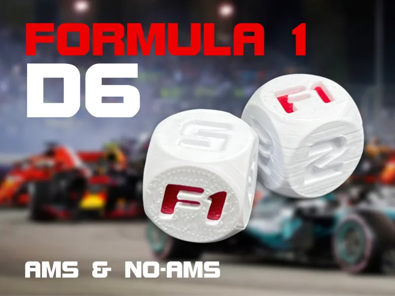 F1 Racing Style D6