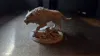 0.12mm layer, 2 walls, 15% infill